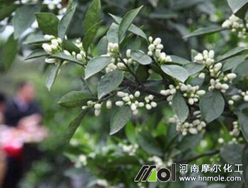 ������ѿ��ʩˮ�ܷ�