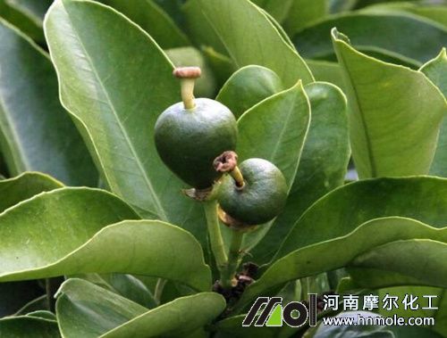 ���ٷ�����ʩˮ�ܷ�