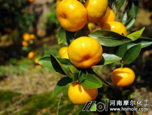 ���ىѹ���ʩˮ�ܷ�