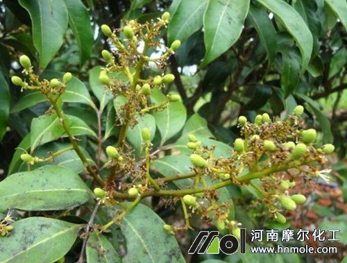 ��֦�ѹ���׷ʩˮ�ܷ�