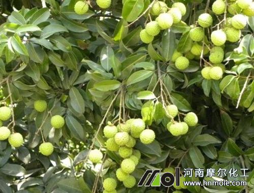 ��֦������׷ʩˮ�ܷ�