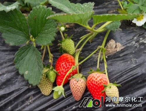 ��ݮ�Y(ji��)����׷ʩˮ�ܷ�