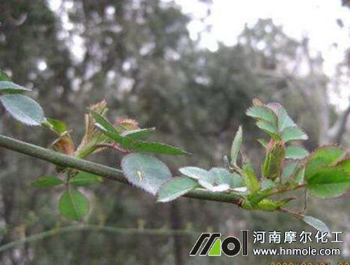 ���ܻ�ѿ�ֻ�ʩ��