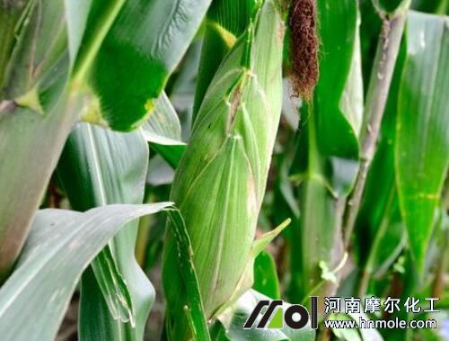 ����ʩ�ʷ���