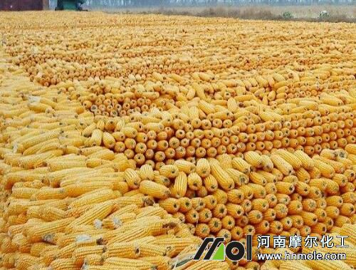 ����һ�㮀�a��