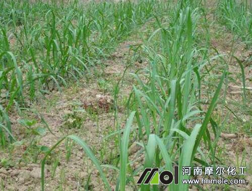 ��������׷ʩ�ߵ�ˮ�ܷ�