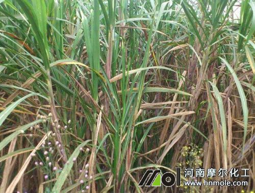 ��������׷ʩ�ߵ����ˮ�ܷ�