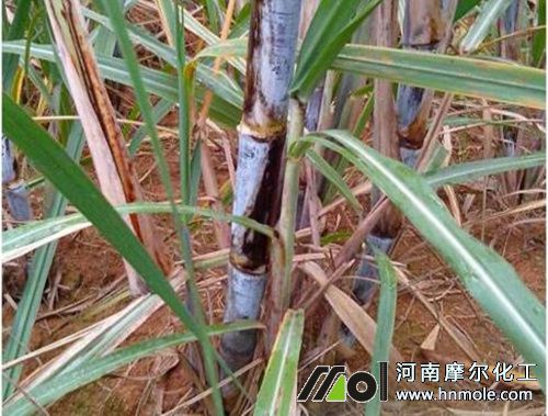 ��������׷ʩ�ߵ�ˮ�ܷ�