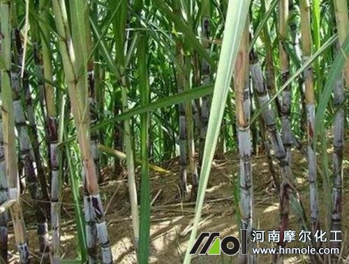 ��������׷ʩƽ����ˮ�ܷ�