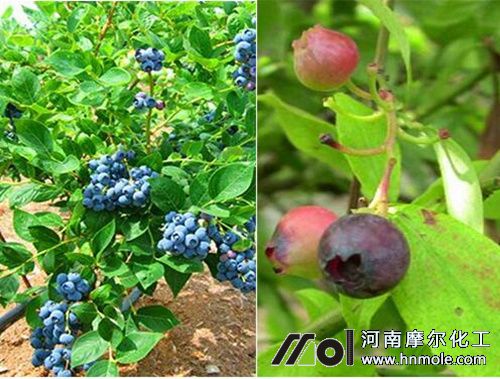 �߅��������{ݮʩ��