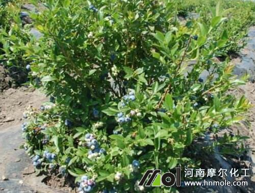 �����{ݮʩ��