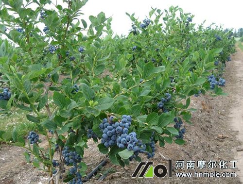 �{ݮ������c