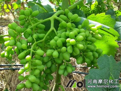 �����׹���׷����ˮ�ܷ�