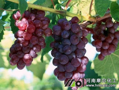 �����׹���ʩ���ˮ�ܷ�