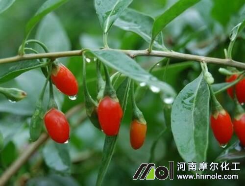 ��轘�Y�����÷�