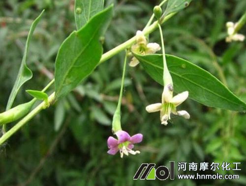 ��轘��_��ǰ���÷�