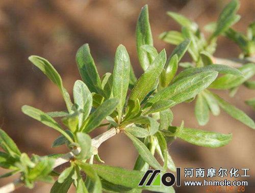 ��轘�lѿ���÷�