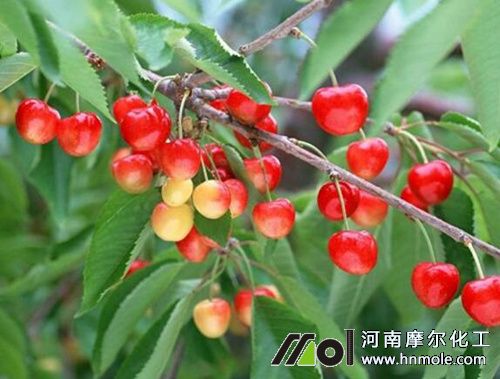 �����׹���ʩ��