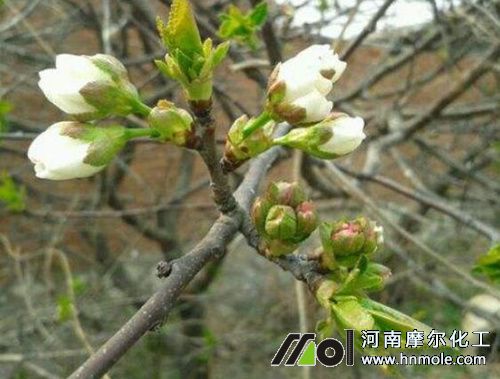 ���һ�ǰ��ʩ��