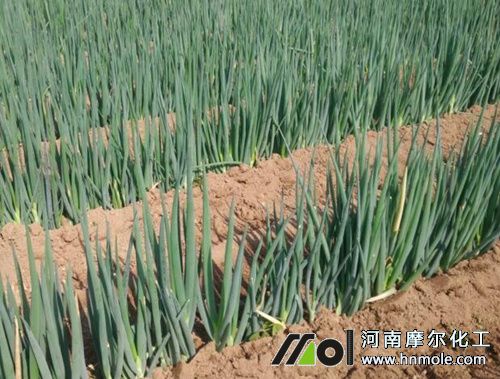 �L���[������c