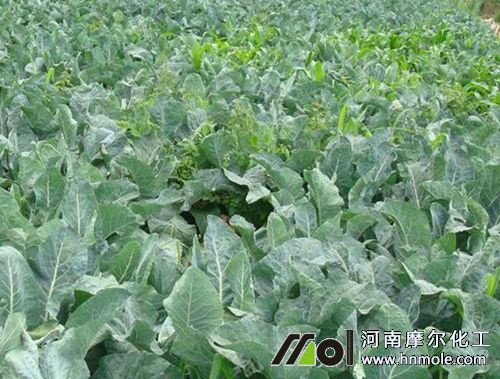 ���m����ôʩ��