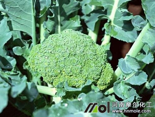 ���m��������c(di��n)