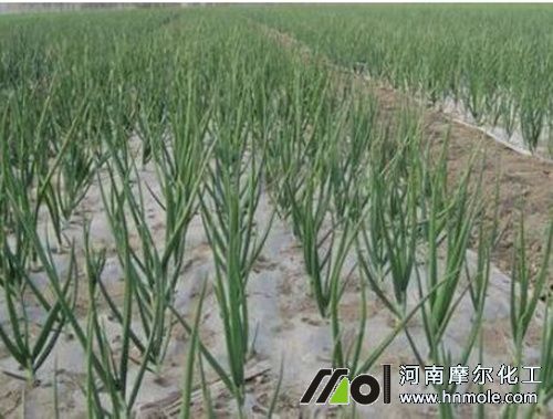 ���[ˮ�ܷ��÷�