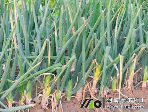 �[��ʲô����