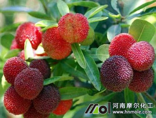 ��÷�������