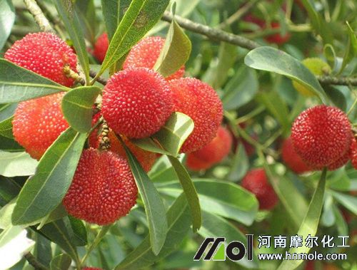 ��÷ˮ�ܷ�ʩ��ָ��