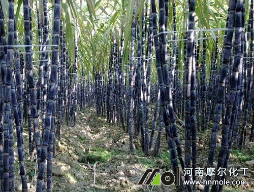 ����������c(di��n)Ҏ(gu��)��