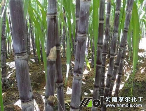 �����ִ����L(zh��ng)ʩ�ʷ���