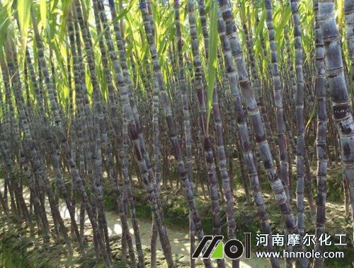 ����ˮ�ܷ��÷�����