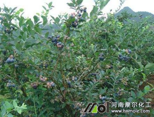 �߅��{ݮ׷ʩˮ�ܷ�