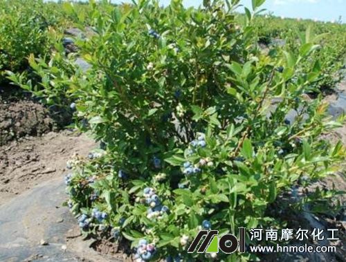 �����{ݮ׷ʩˮ�ܷ�