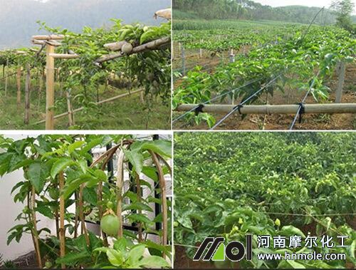 �����ʩ�ʼ��g