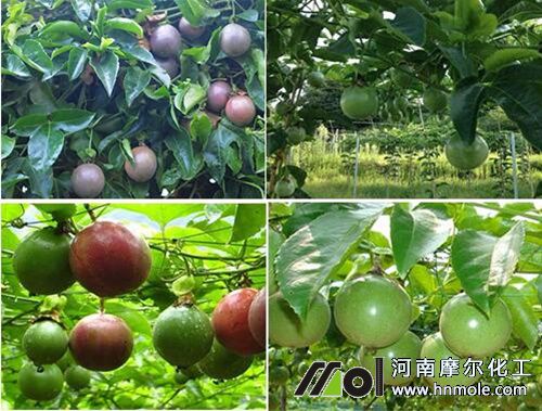 �����ˮ�ܷ�ʩ��ָ��