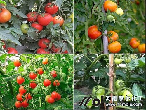 �������ʩ�ʴΔ�