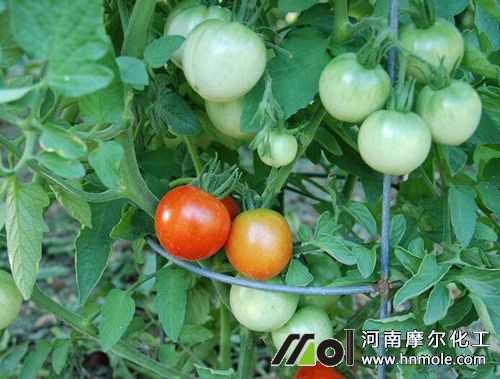 ˮ�ܷʮ��������÷�