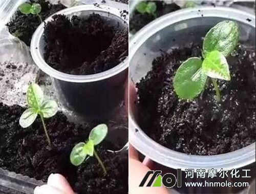 ���԰���������D��3