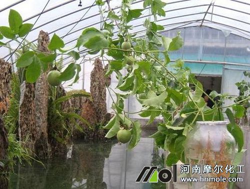 ���԰�����÷ʈD��