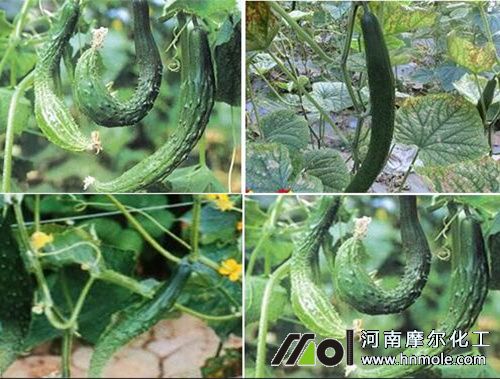 �S�ϼ��^��ԭ��