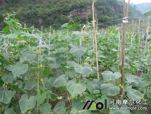 �S��ˮ�ܷ����_�÷�