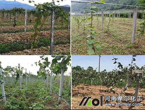 �J�����䷽ʩ�ʼ��g