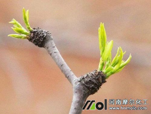 ������ѿǰ׷ʩˮ�ܷ�