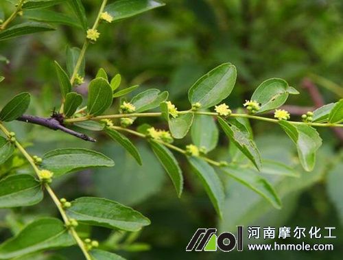 �����_��ǰ׷ʩˮ�ܷ�