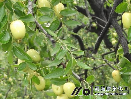 ���������׷ʩˮ�ܷ�