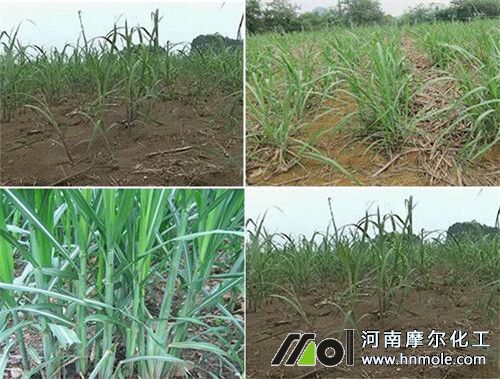 �������a����׷�ʷ���