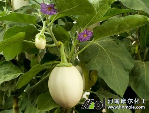 �m�����ӵķ���