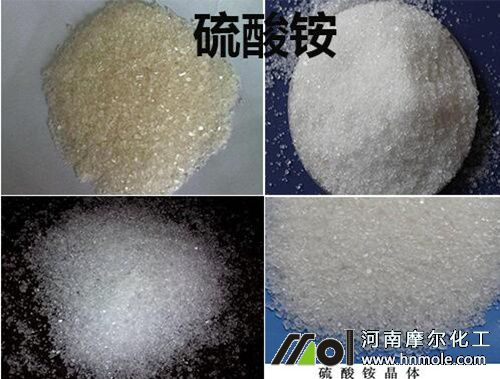 水溶肥配方原料硫酸銨 水溶肥配方原料硫酸銨